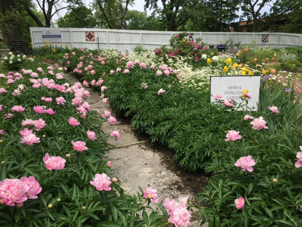 Herb & Heirloom Garden