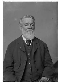 Negative, glass-plate