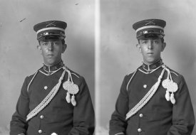 Negative, glass-plate