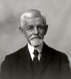 Negative, glass-plate